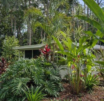 Doonan House | Private Rainforest Guesthouse in Doonan