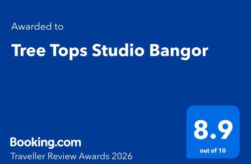 Bangor House | Tree Tops Studio Bangor