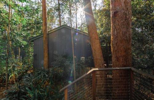 Buderim Apartment | Amore On Buderim Rainforest Cabins