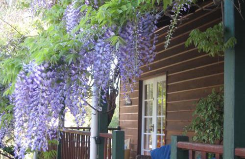 Mosman Park Bed & Breakfast | RoseMoore Bed & Breakfast