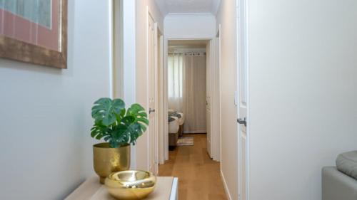 Mermaid Beach Apartment | 2BR Family Resort at Aqua Park