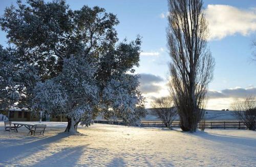 Adaminaby House | Cabin 1 - Snowy Accommodation