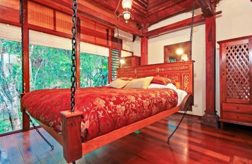 Mount Warning Cabin | Wollumbin Palms Rainforest Retreat