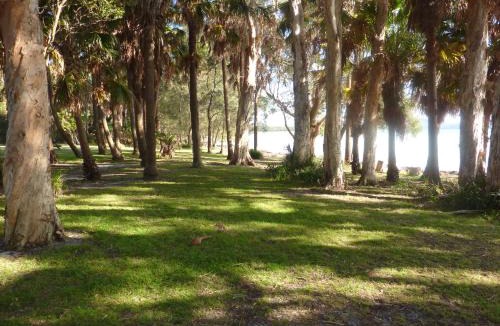 Forster Other | Camp Elim