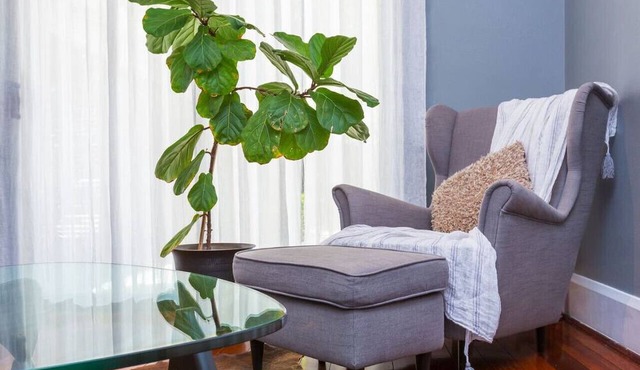 Fusion of 20th century charm & modern convenience!