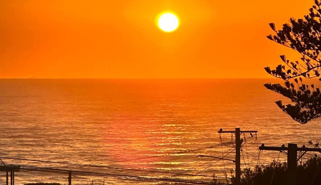 100m from Beach: The Wambi Getaway, Pet Friendly, 2BR, Entire Apartment and Yard