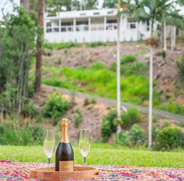 Palms Cottage - Pet-Friendly Eumundi Retreat