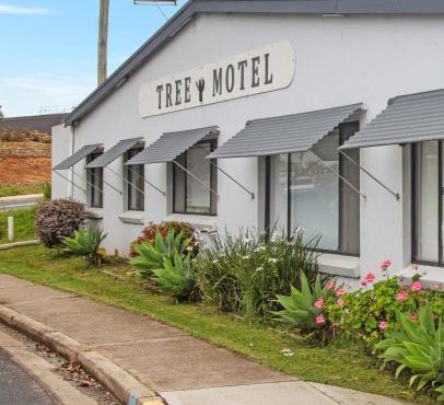 The Tree Motel